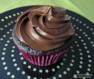 12 decadent Chocolate Cupcakes from Wendy Rodgers